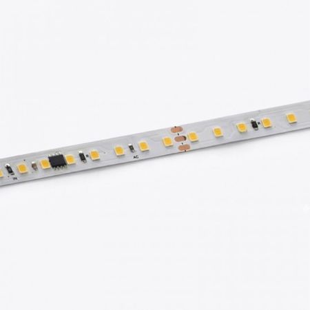 MLN-2835-120 RUN SPI 10W/1m 24V 4000K IP20 set 10m kotur SMD LED traka 120 LED/1m IC Mitea Lighting