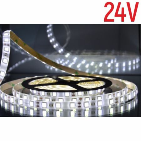 MLD-5050-60-24V 6500K (dnevna svetlost) LED traka 5m 24V 8W 60 LED/1m IP65 Mitea Lighting