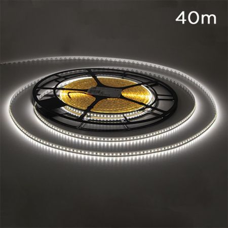 MLR-2835-120-48V 6500K bela 40m KOTUR 48V 7,2W 120 LED/1m IP20 Mitea Lighting