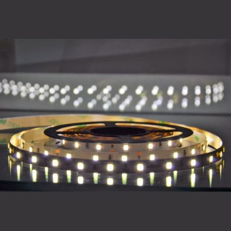 MLR-2835-60 6500K (dnevna svetlost) LED traka 5m 12V 4,8W 60 LED/1m IP20 Mitea Lighting