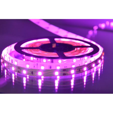 MLR-2835-60 pink LED traka 5m 12V 4,8W 60 LED/1m IP20 Mitea Lighting